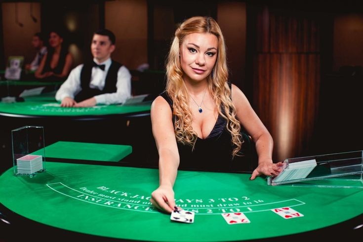 Mr Jackpot Live Casino